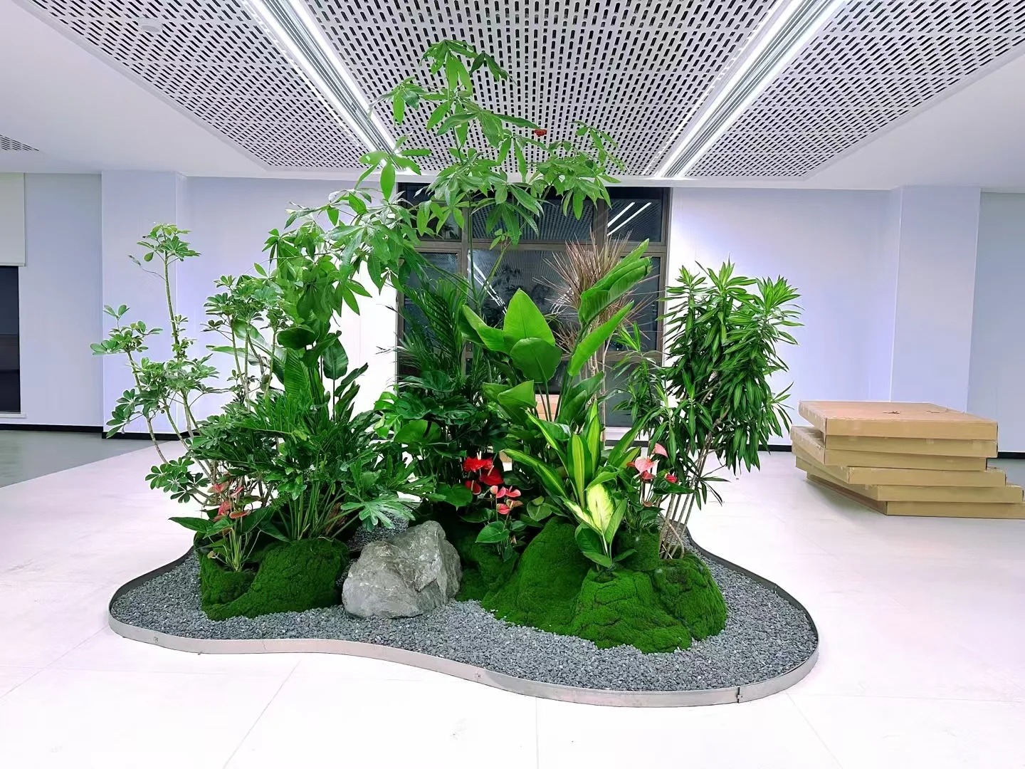 专业绿植出租服务,宁波北仑商业空间的绿色之选!